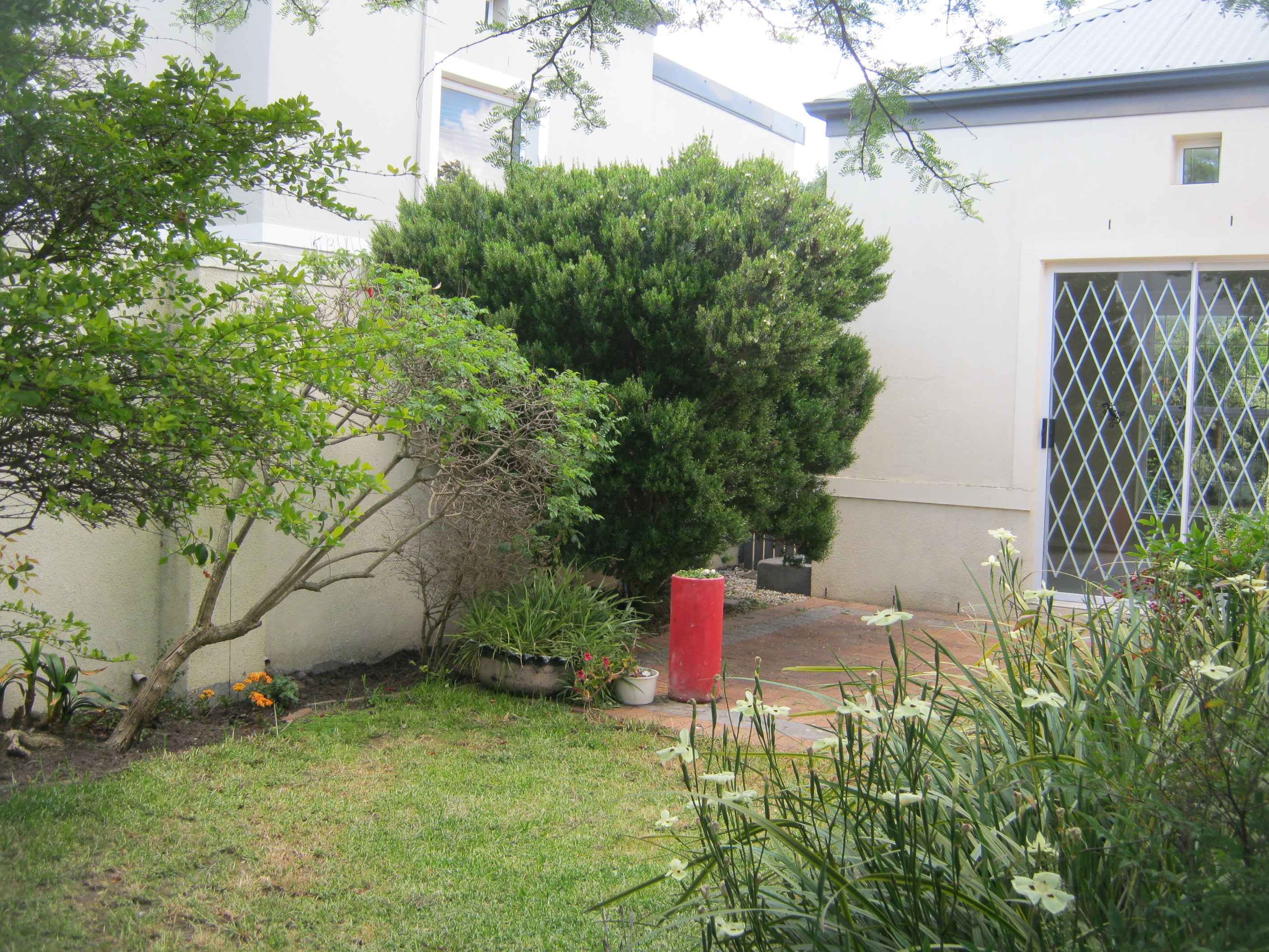 To Let 3 Bedroom Property for Rent in Fernwood Western Cape